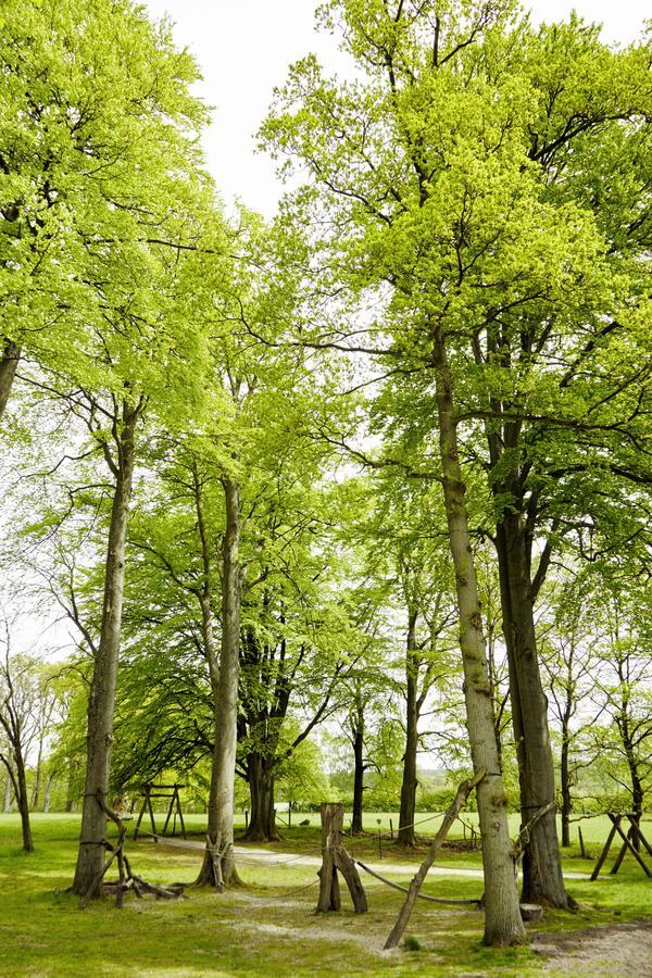 Hotel Hof Tuetsberg Bispingen Exteriör bild